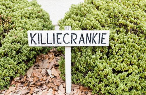 Claymore Guest House and Apartments - Foto 20