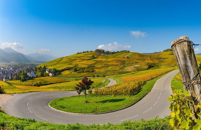 Elsässische Weinstraße Halbtagestour in kleiner Gruppe mit Verkostung ab Straßburg - Foto 6