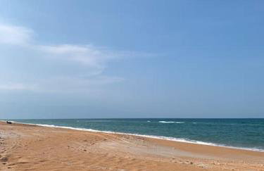 Ormond Beach, fun & loving sun! - Photo 12