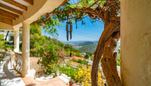 Casa Coromandel - Foto 3, Garden