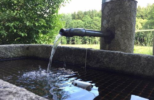 Ferienwohnung Hubertus - Foto 39