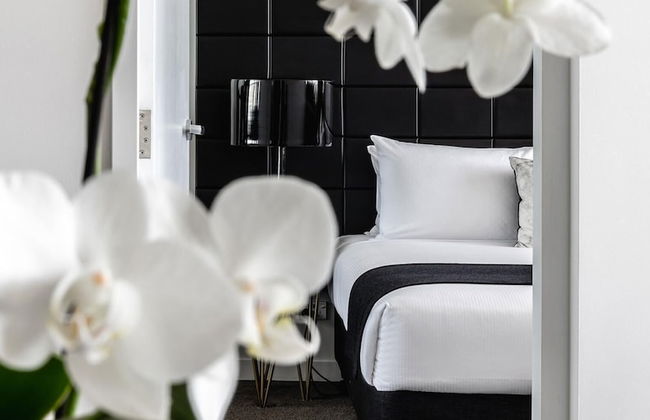 KOZYGURU Chatswood Luxury Studio - Photo 1