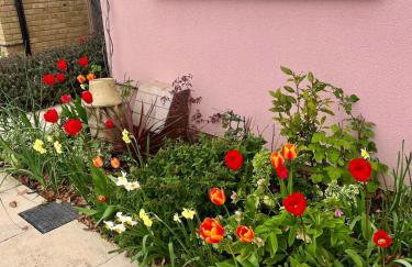 The Pink House - Foto 28