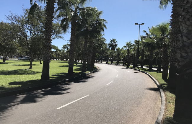 Vintage Palm - Foto 14