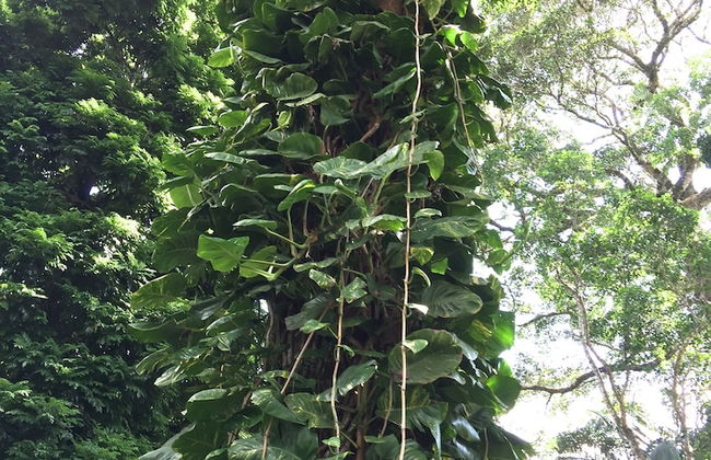 Curtis Cottage - Foto 13