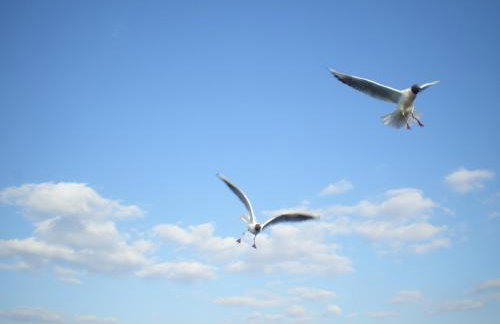 Ferienwohnung ÜckeRitz bei Familie Habben mit PKW Stellplatz - Foto 62
