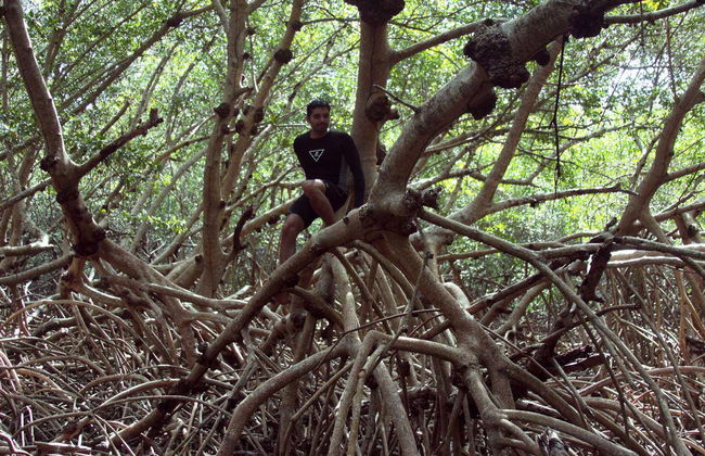 Tour di Los Petenes in motoscafo - Foto 2