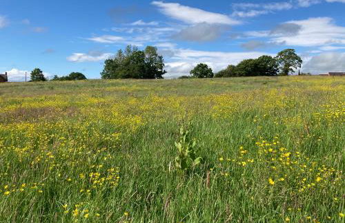 The Stable with cozy logburner - Foto 6