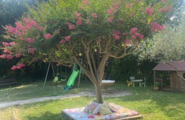 Appartement - Foto 11