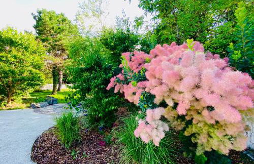 La Chantourelle - Foto 20