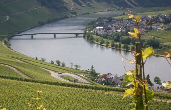 in Landhuisstijl met Uitzicht op de Moezel - Photo 6