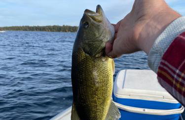Sunset Serenity on Kego Lake - Foto 33