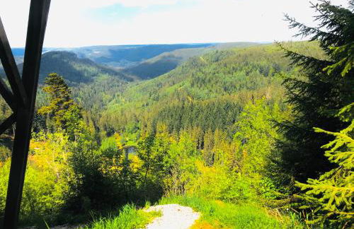 Haus Jenni im Schwarzwald, 3,5-Zimmer, große Terrasse - Foto 65