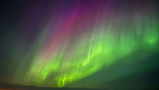 Luleå Northern Lights Tour - Foto 2