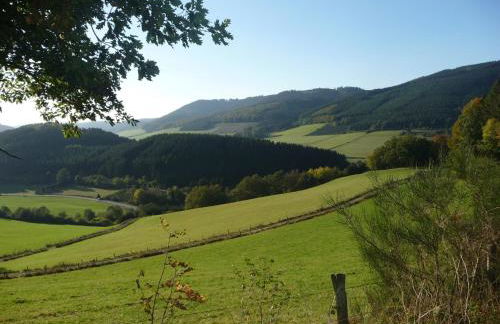 Ferienwohnung im Malerischen Eslohe - Foto 59