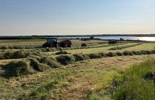 Kenfig Farm - Foto 28