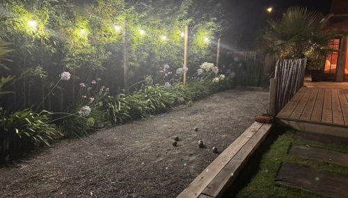 La kabane de Manou, maison de charme Cap Ferret - Photo 5, Garden, Garden view