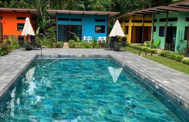 Caribbean Blue Morpho - Foto 17