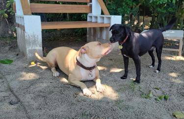 Pé na Areia - Casa para temporada - Foto 42