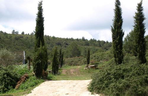 Masia Heredad La Boquilla - Foto 101