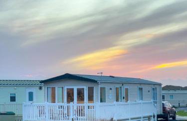 Little Curlew, Ynyslas, Borth - Foto 21