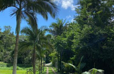 Recanto da Floresta - Casa de campo em Secretário - Foto 21