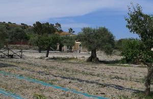 Agriturismo Donna Beatrice - Foto 48