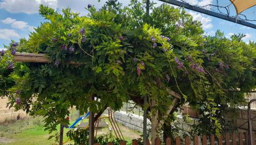 Agriturismo la stragola - Foto 5