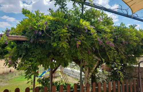 Agriturismo la stragola - Foto 5