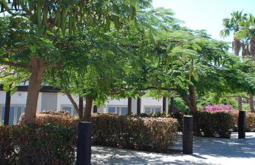 Blue Marlin 6 - Foto 32