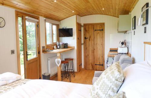 Defaid Cymreig - Foto 15