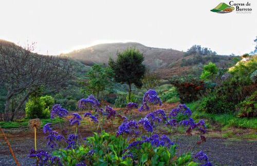 Cuevas De Barreto - Foto 51