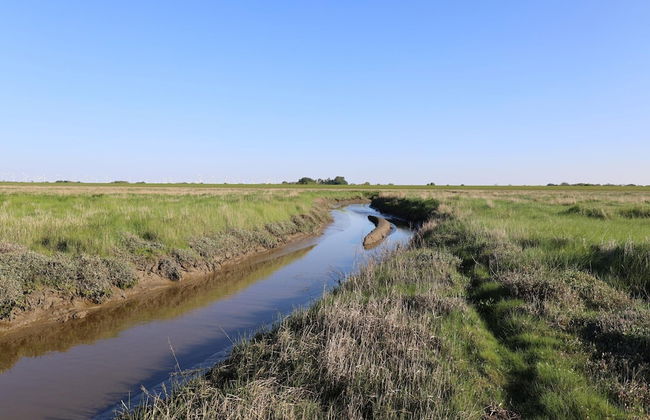 Ferienwohnung in Nesse - Foto 38