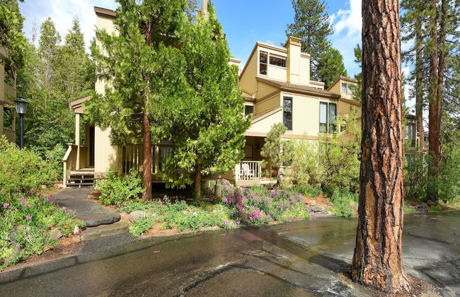 Enjoy Forest Views Retreat at Kingswood Village! - Photo 46