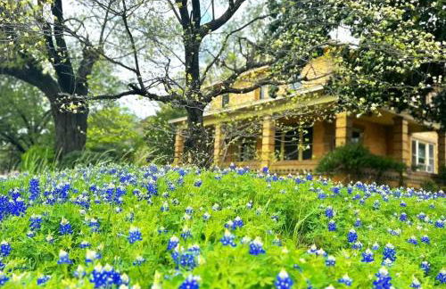 The Bonnet House - Photo 18