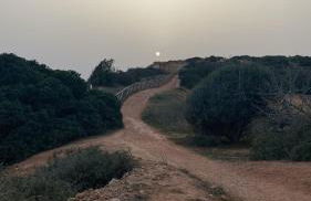 Casa Felicidade - Foto 63