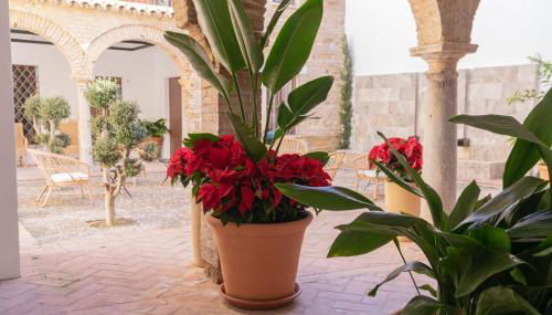 Corazón 23 - Foto 4