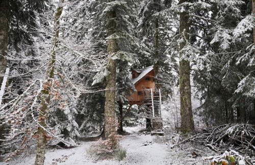 Cabanes des Volcans - Foto 16