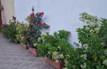 Afroditi's 1 - Photo 80