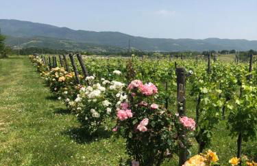 Salceta, a Tuscany Country House - Photo 63