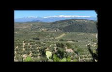 cortijo la alberquilla - Foto 22