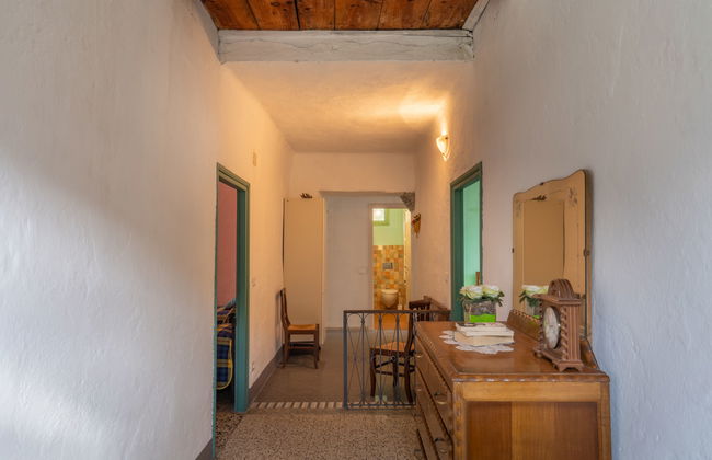 Oasi Colorata - Foto 18