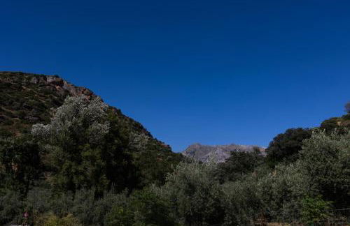 Cortijo el Chaparro - Foto 33