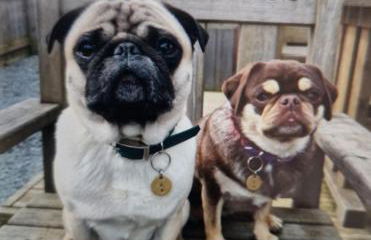 Hillside Havens - Foto 71