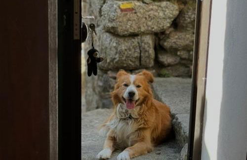Raízes da Serra - Casa Alvoco - Foto 8