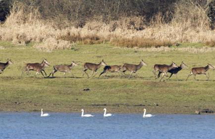 Gîte au Village du Domaine Le Colombier - Photo 15