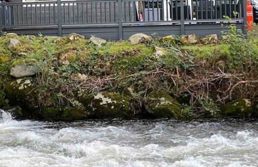 Stunning 3 Bed Riverside Cabin in Snowdonia - Photo 7