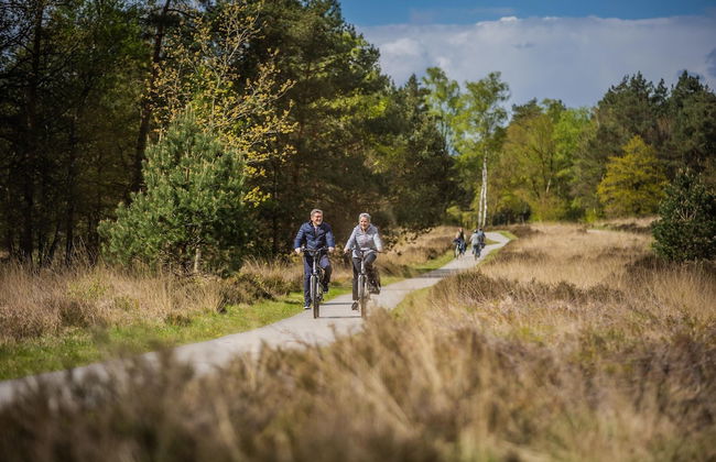 Spacious Villa in Hoenderloo - Foto 35