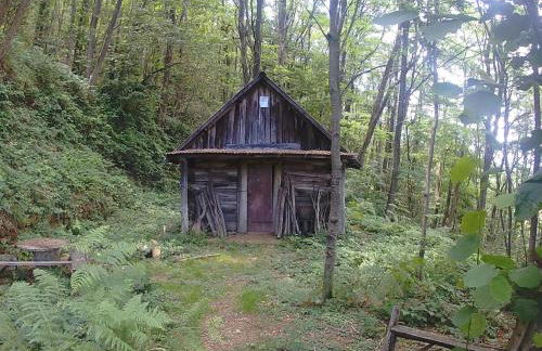 La Cantina Del Sole - Foto 35