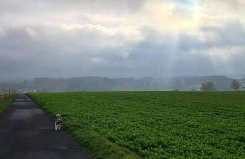 Jedermanns Nest - Foto 12